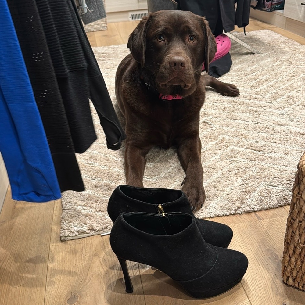 YSL black suede booties excellent condition size 40.5.